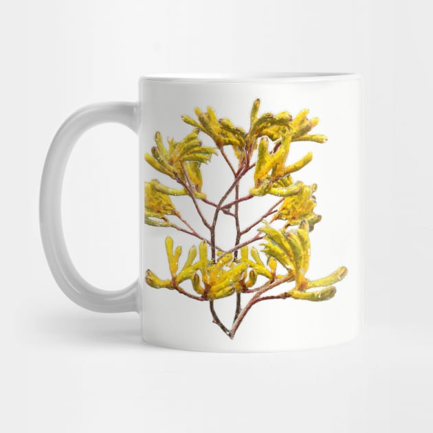 Australian Native Plant Kangaroo Paw by Custom Autos